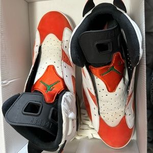 jordan Gatorade 6